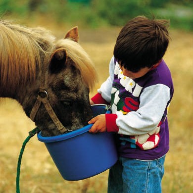 Boy and Horse