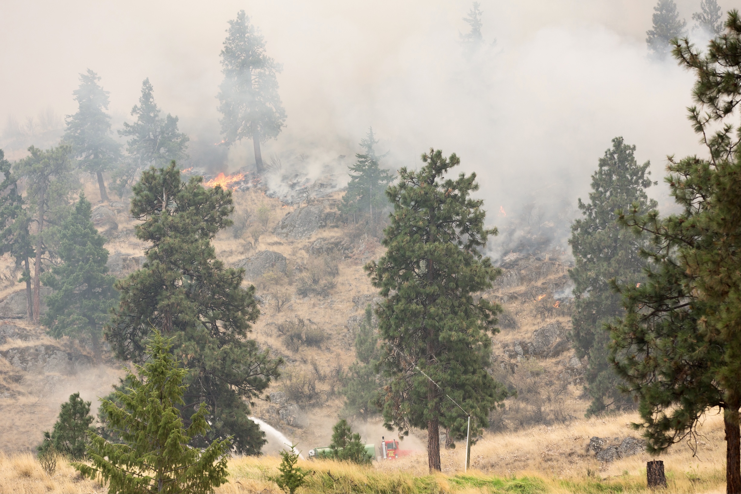 Hawkins’ bill to implement utility-wildfire group’s recommendations approved by key Senate committee