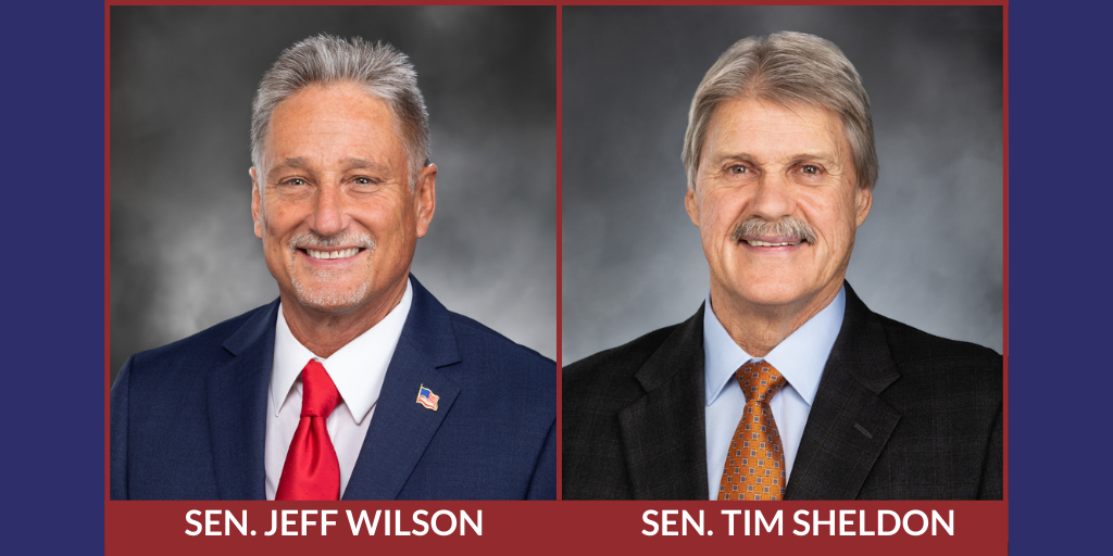 AUDIO: Sheldon says income-tax bill is end-run around the people and Wilson says it’s problematic