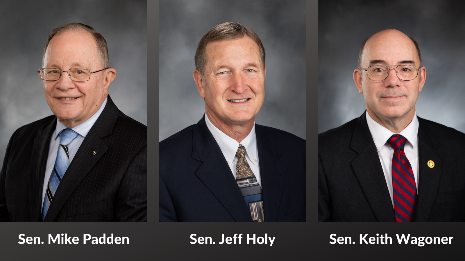 AUDIO: Republican members of state Senate Law and Justice Committee address public