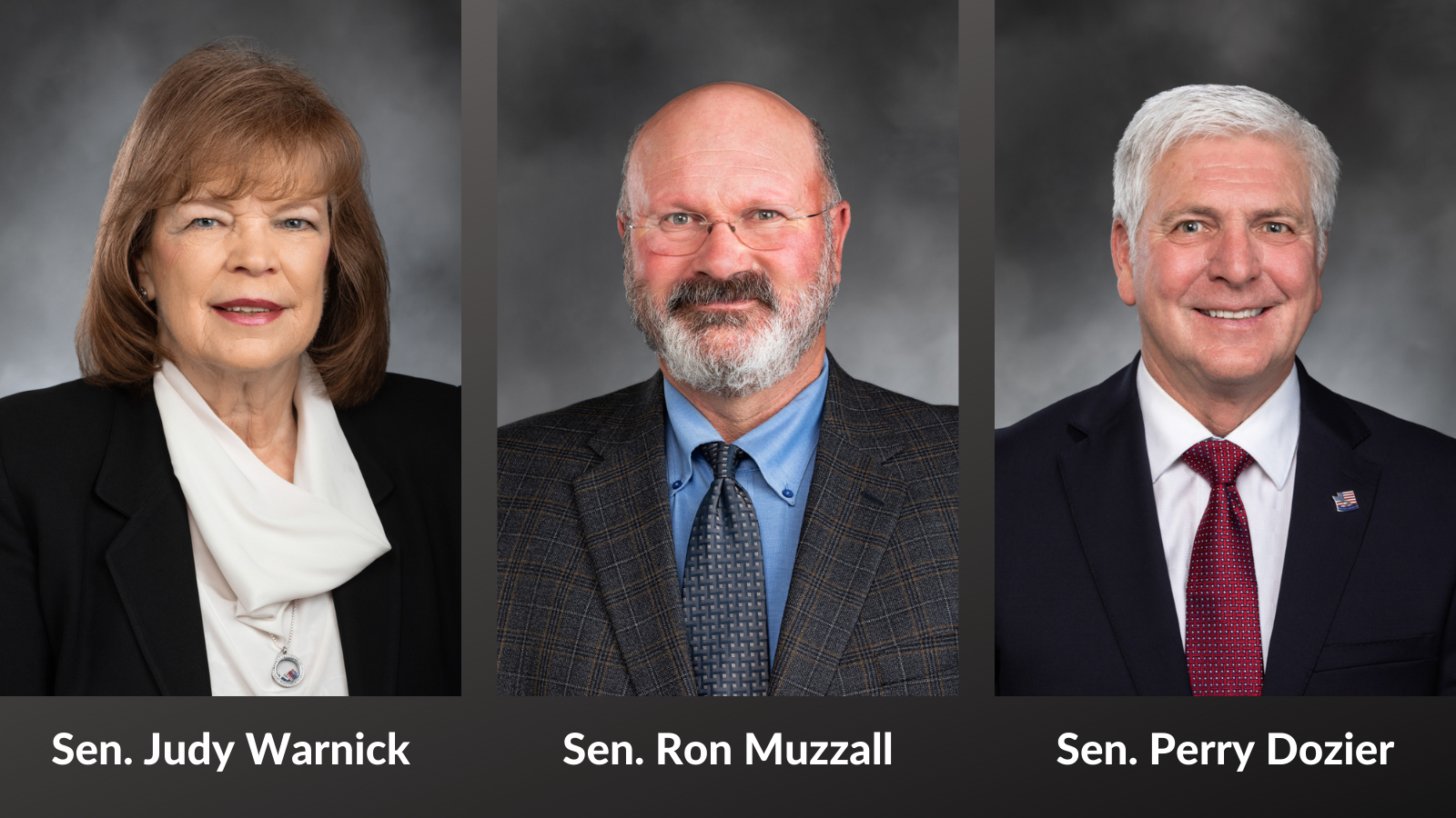 Senate Republicans elect new caucus chair, vice chair, deputy whip