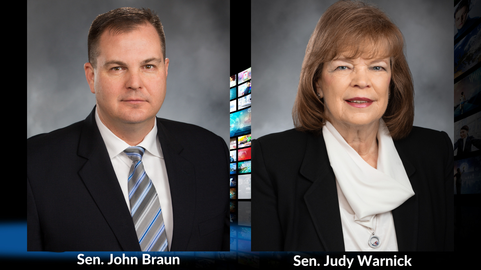 VIDEO: TVW: Associated Press Legislative Preview, featuring Senators John Braun and Judy Warnick
