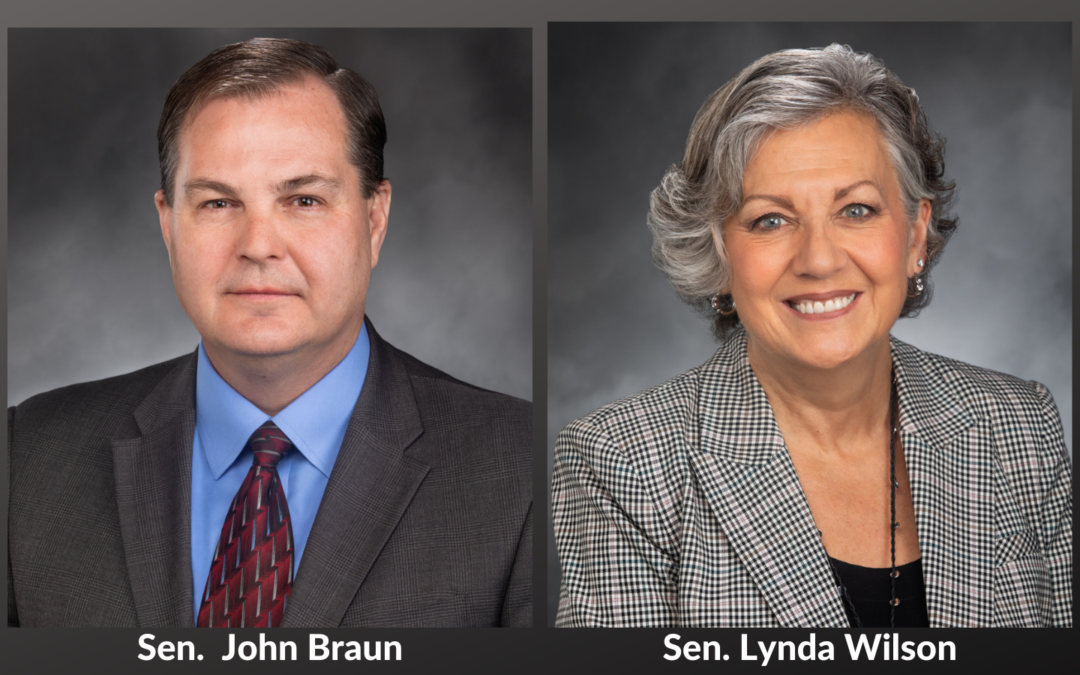 AUDIO: Senate passes Wilson, Braun bills to tackle opioid addiction, overdose deaths