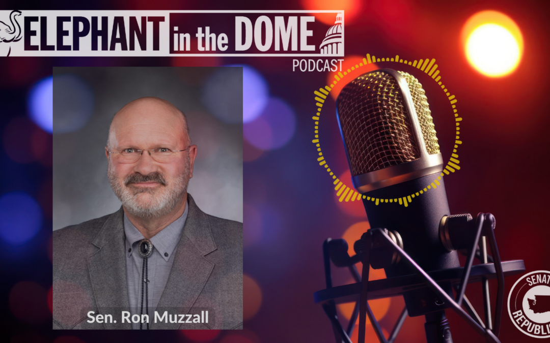 The Elephant in the Dome Podcast: Will the last one on the farm please close the gate?