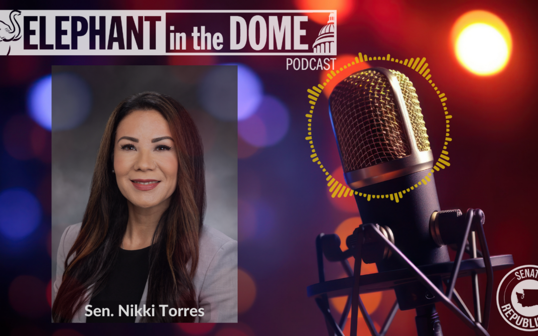 The Elephant in the Dome Podcast: The public defender shortage crisis