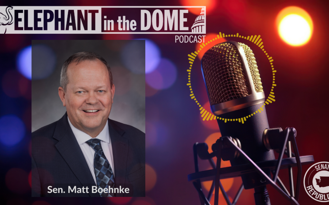 The Elephant in the Dome Podcast: Senator Blindsided by Department of Children, Youth, and Families mismanagement and transfer and return of inmates