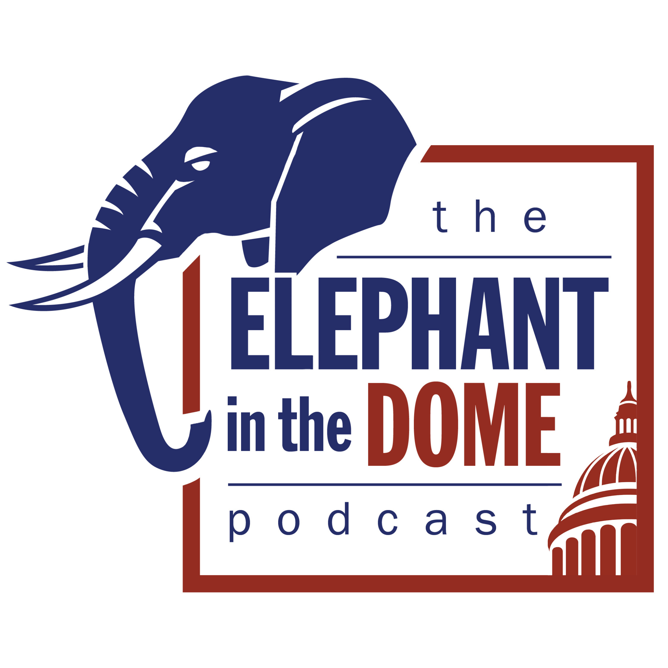 The Elephant in the Dome