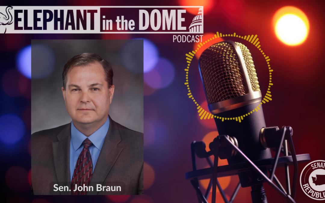 The Elephant in the Dome Podcast: A Better Future for Washington’s Children