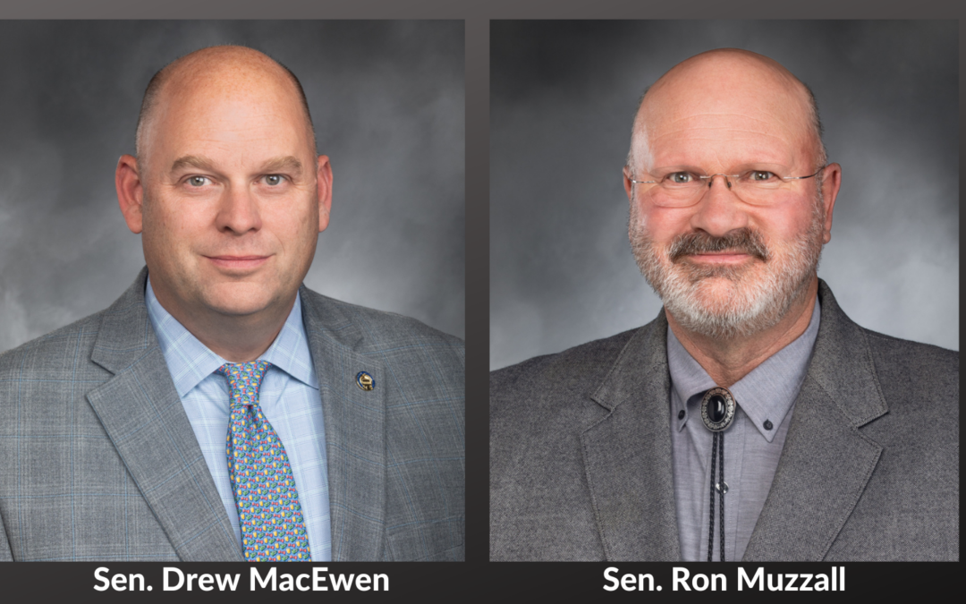 AUDIO: MacEwen, Muzzall call for urgent action on building state ferry fleet