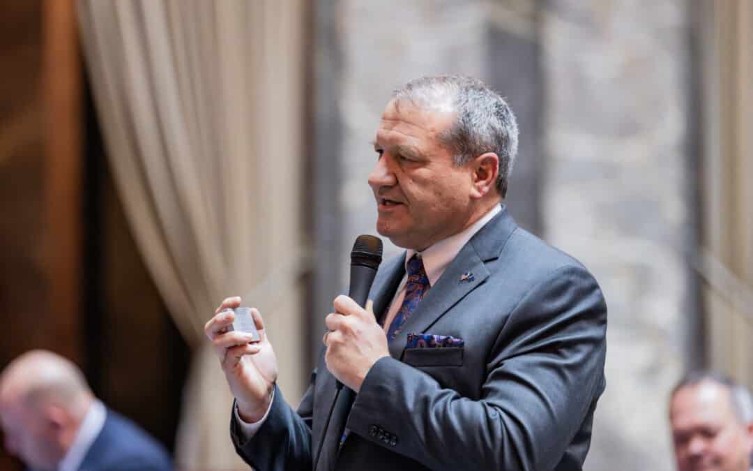 AUDIO: Sen. Leonard Christian on Paid Protester Taxes — Ari Hoffman Show