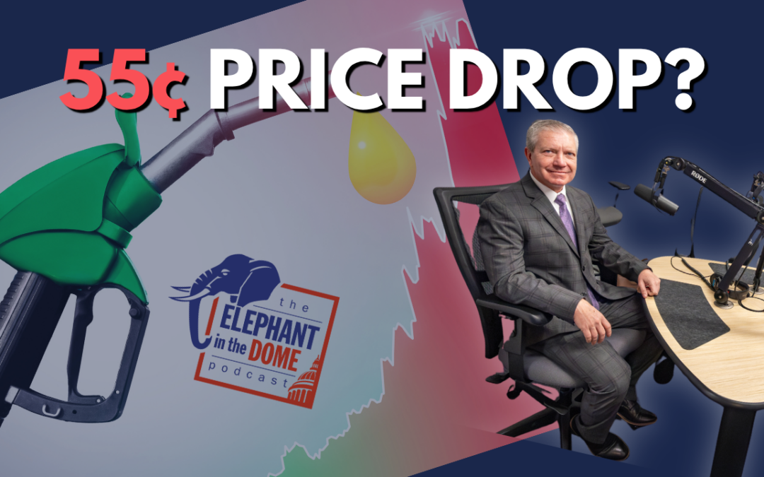 Is This Law Killing Your Wallet? The Truth About WA Gas Prices on The Elephant in the Dome podcast